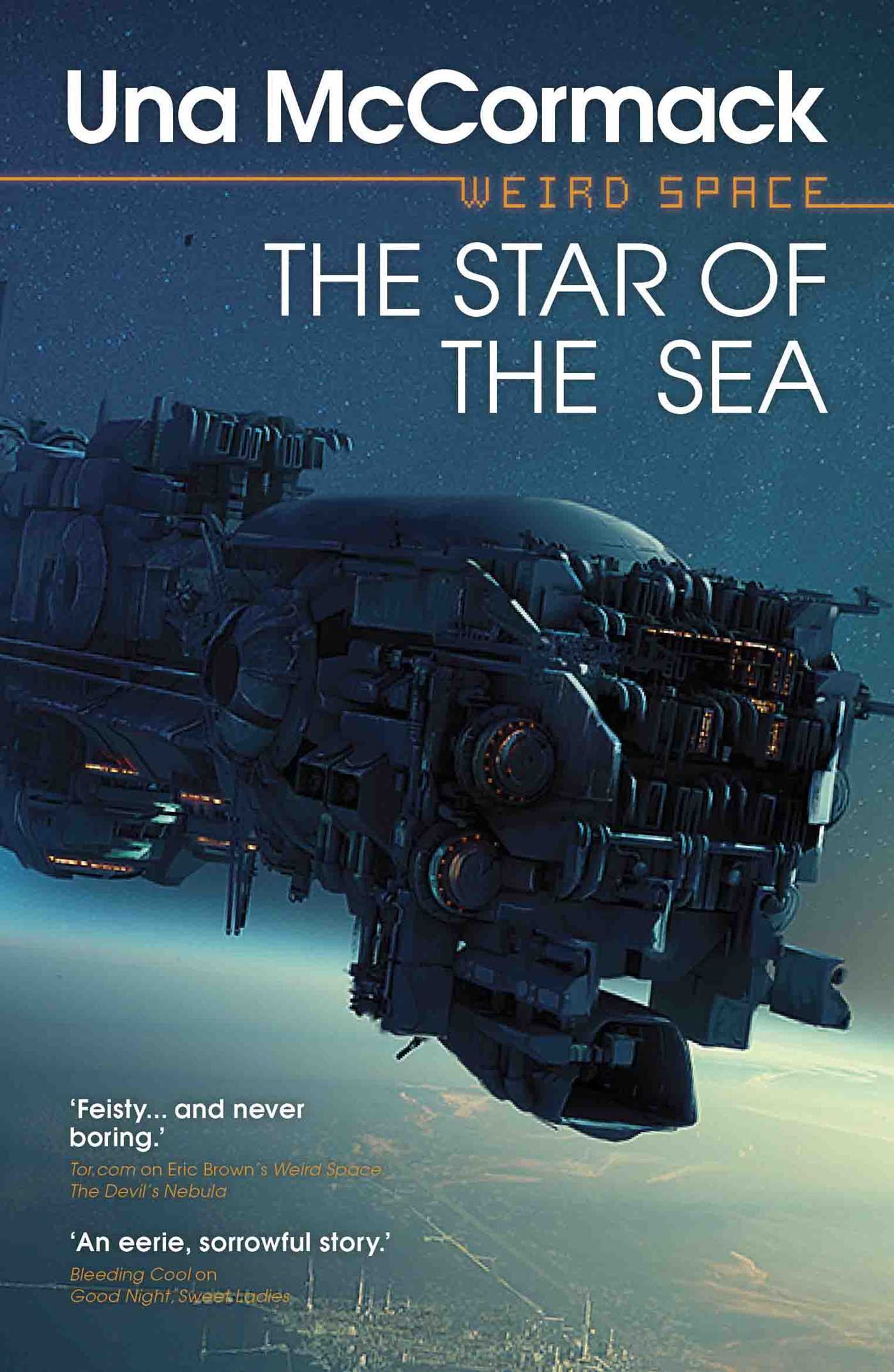 The Star of the Sea book cover