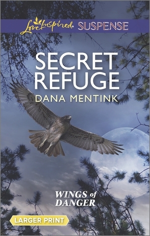 Wings of Danger book cover 2