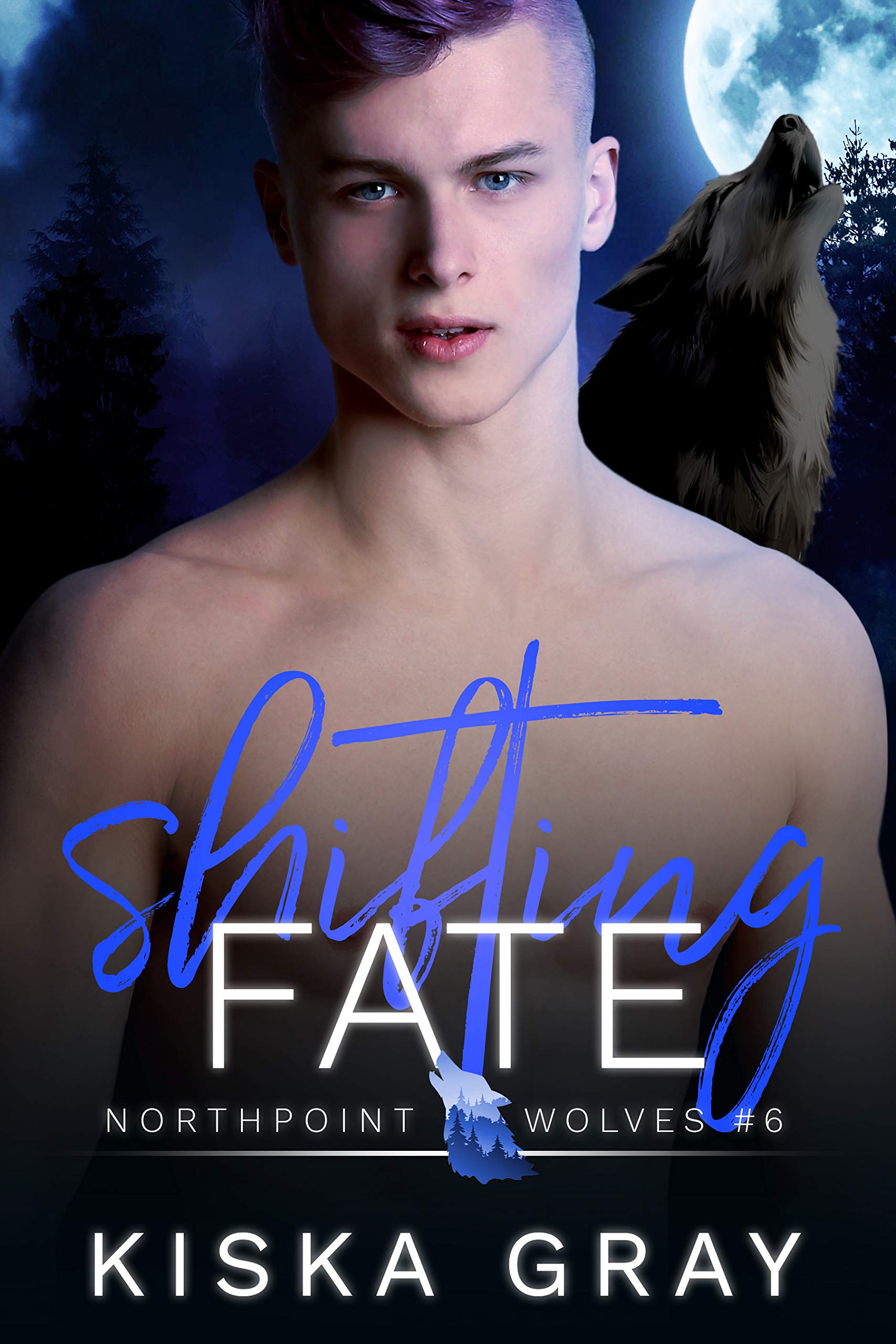 Shifting Fate book cover