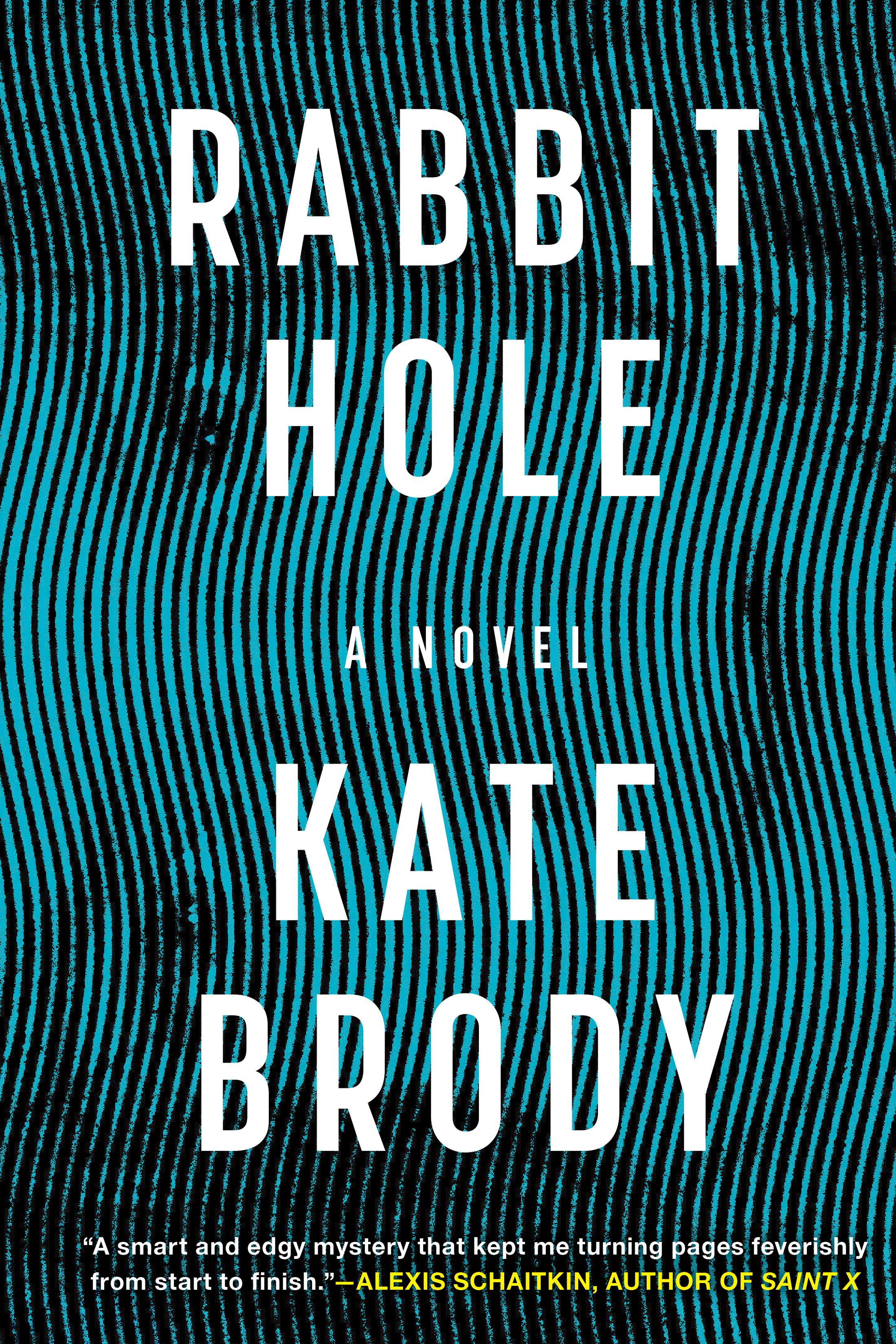 Rabbit Hole book cover