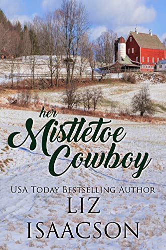 Steeple Ridge Romance book cover 3