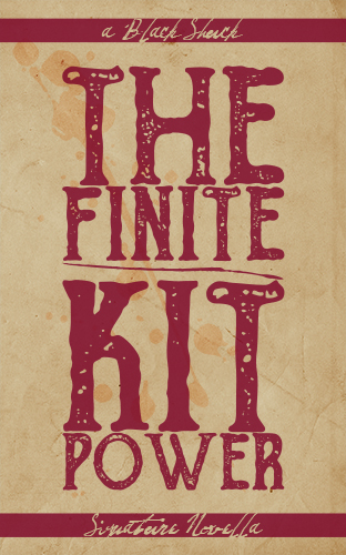 The Finite book cover