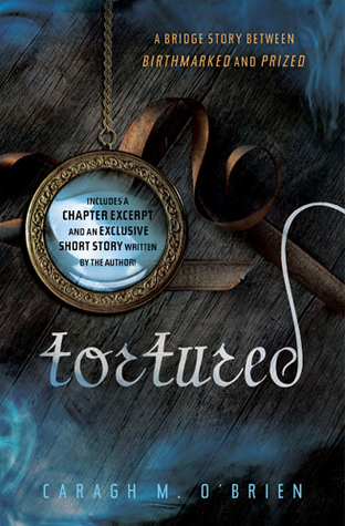 Tortured book cover