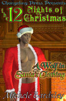 A Wolf in Santa's Clothing book cover