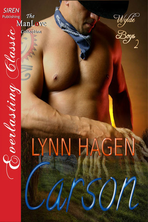 Wylde Boys book cover 2
