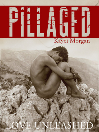 Love Unleashed book cover 3