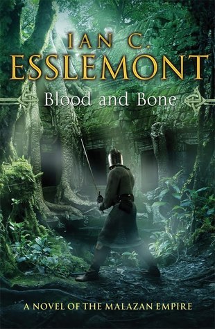 Blood and Bone book cover