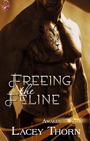 Awakening Pride book cover 3