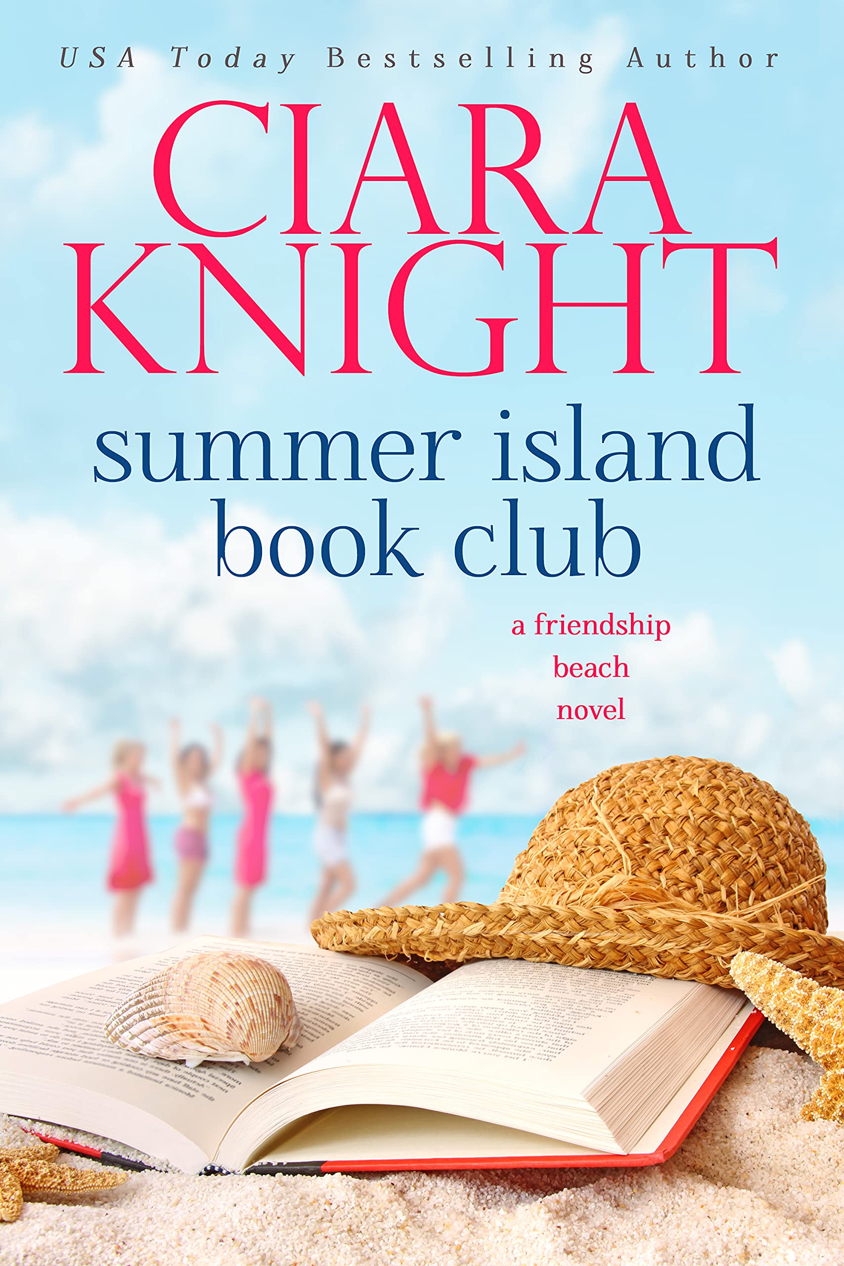 Friendship Beach book cover 1