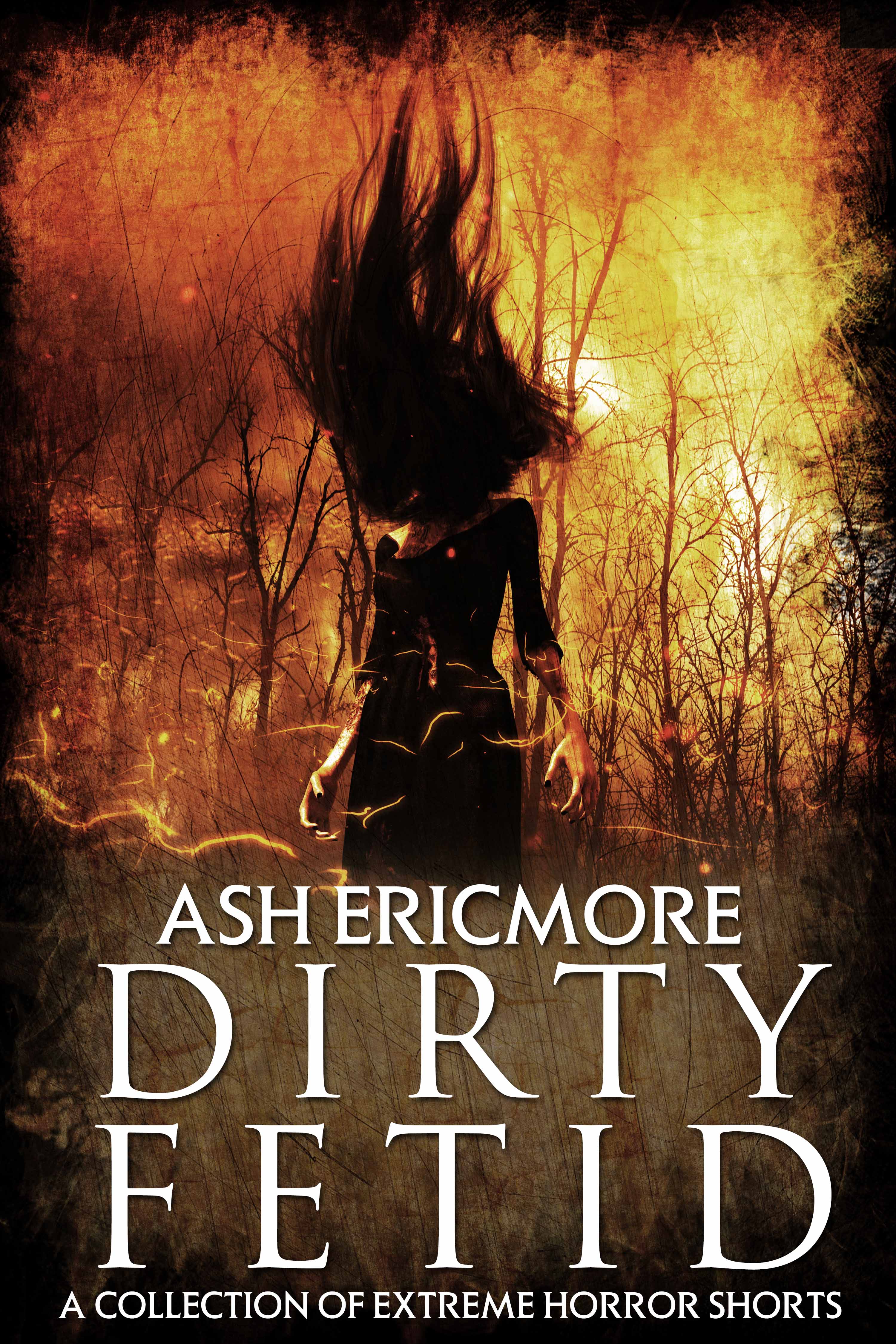 Dirty Fetid book cover