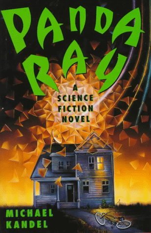 Panda Ray book cover
