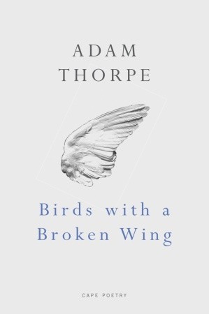 Birds With a Broken Wing book cover