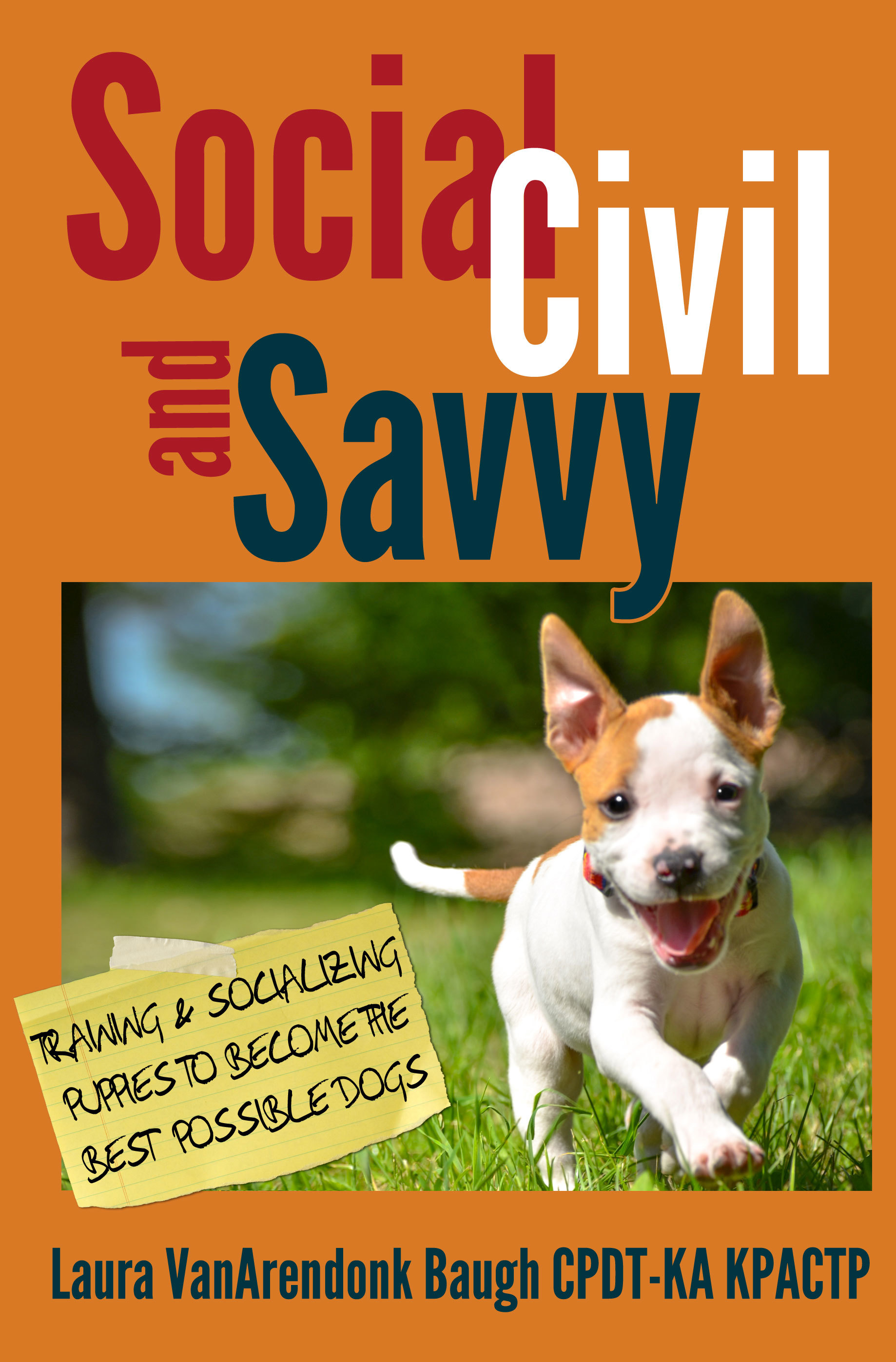 Social, Civil, and Savvy book cover