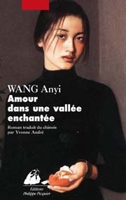 Amour dans une vallée enchantée book cover