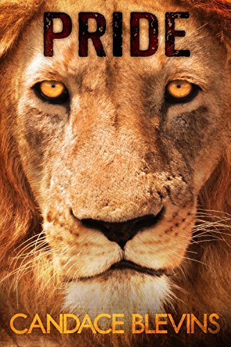 Pride book cover
