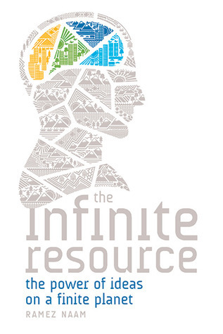 The Infinite Resource book cover