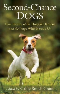 Second-Chance Dogs book cover