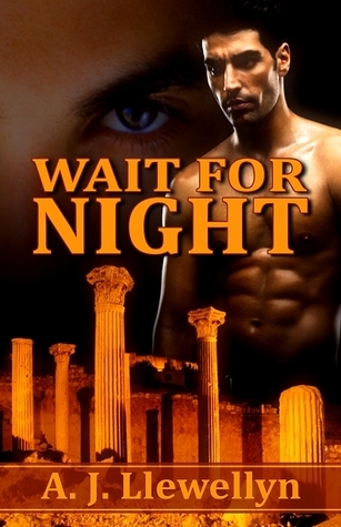 Wait for Night book cover
