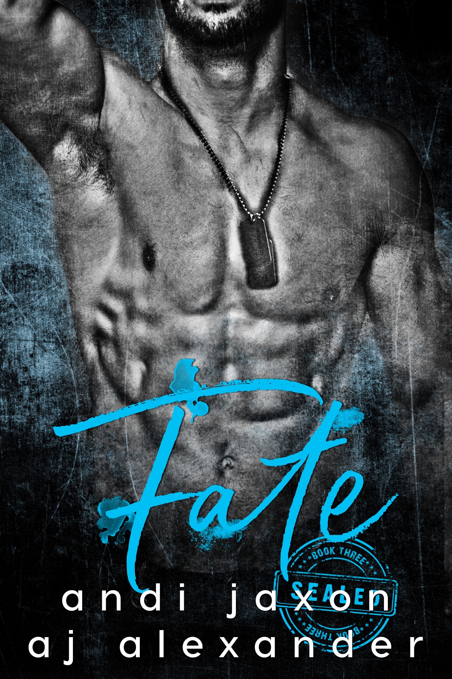 SEAL'd book cover 3
