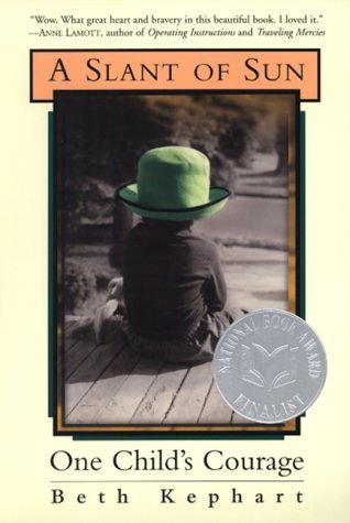 A Slant of Sun book cover