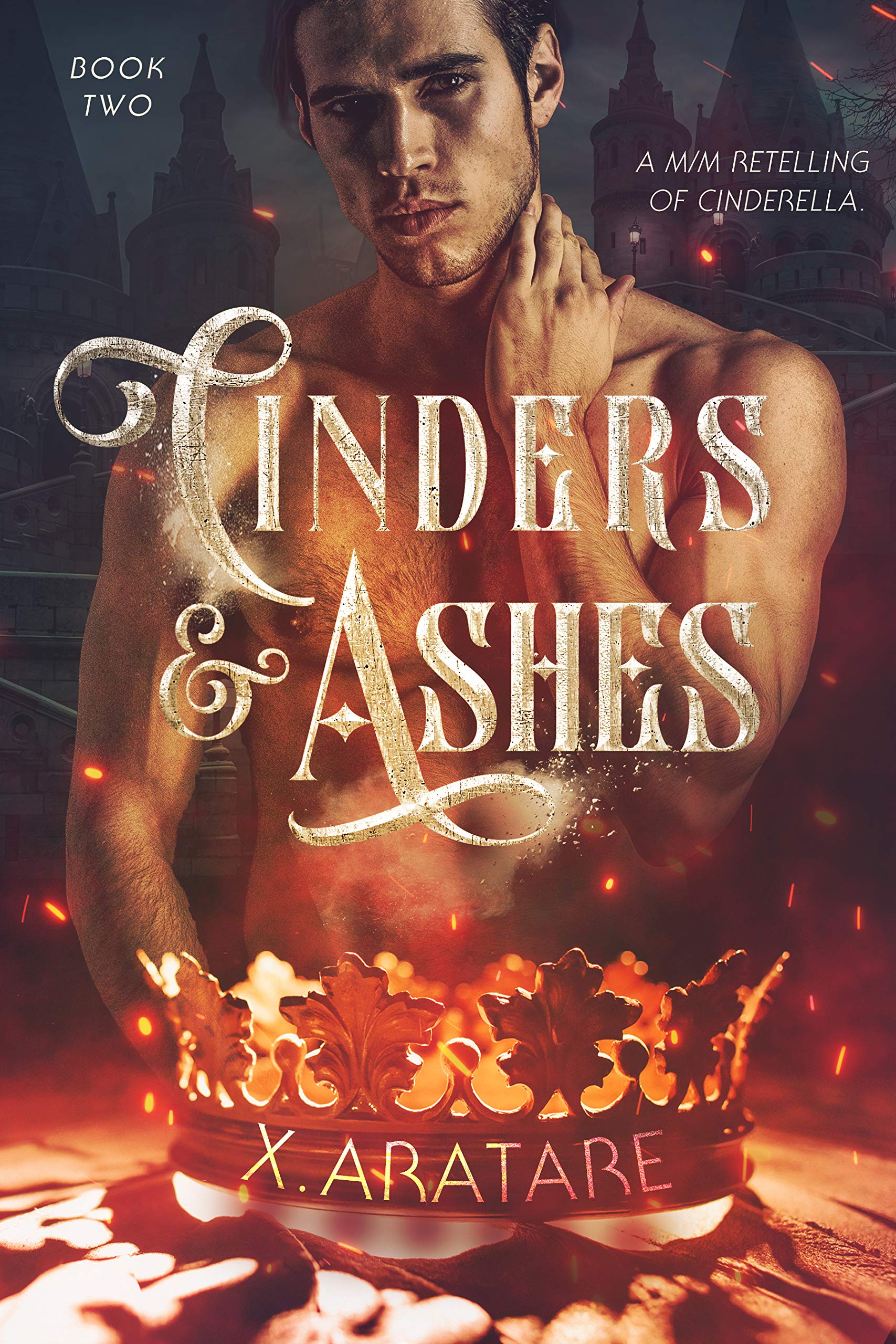 Cinders & Ashes book cover 2