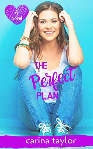 The Perfect Plan book cover