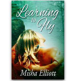 Learning to Fly book cover