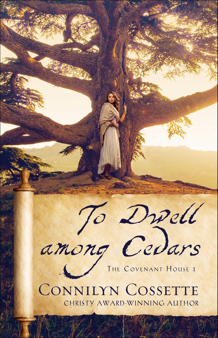 The Covenant House book cover 1