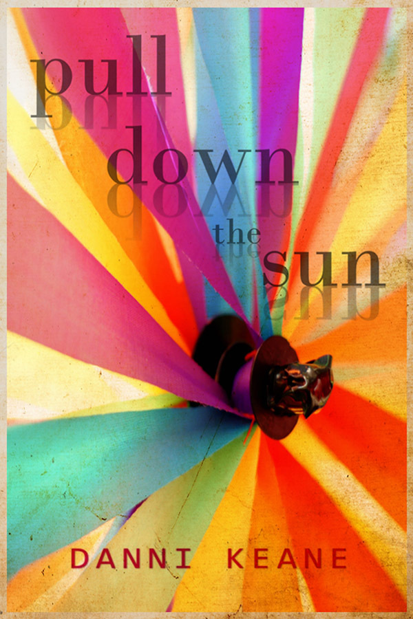 Pull Down the Sun book cover