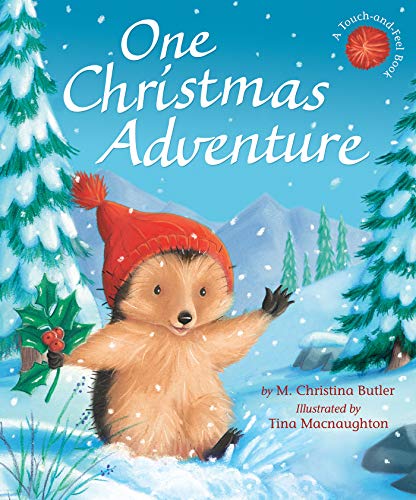One Christmas Adventure book cover