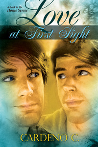 Love at First Sight book cover