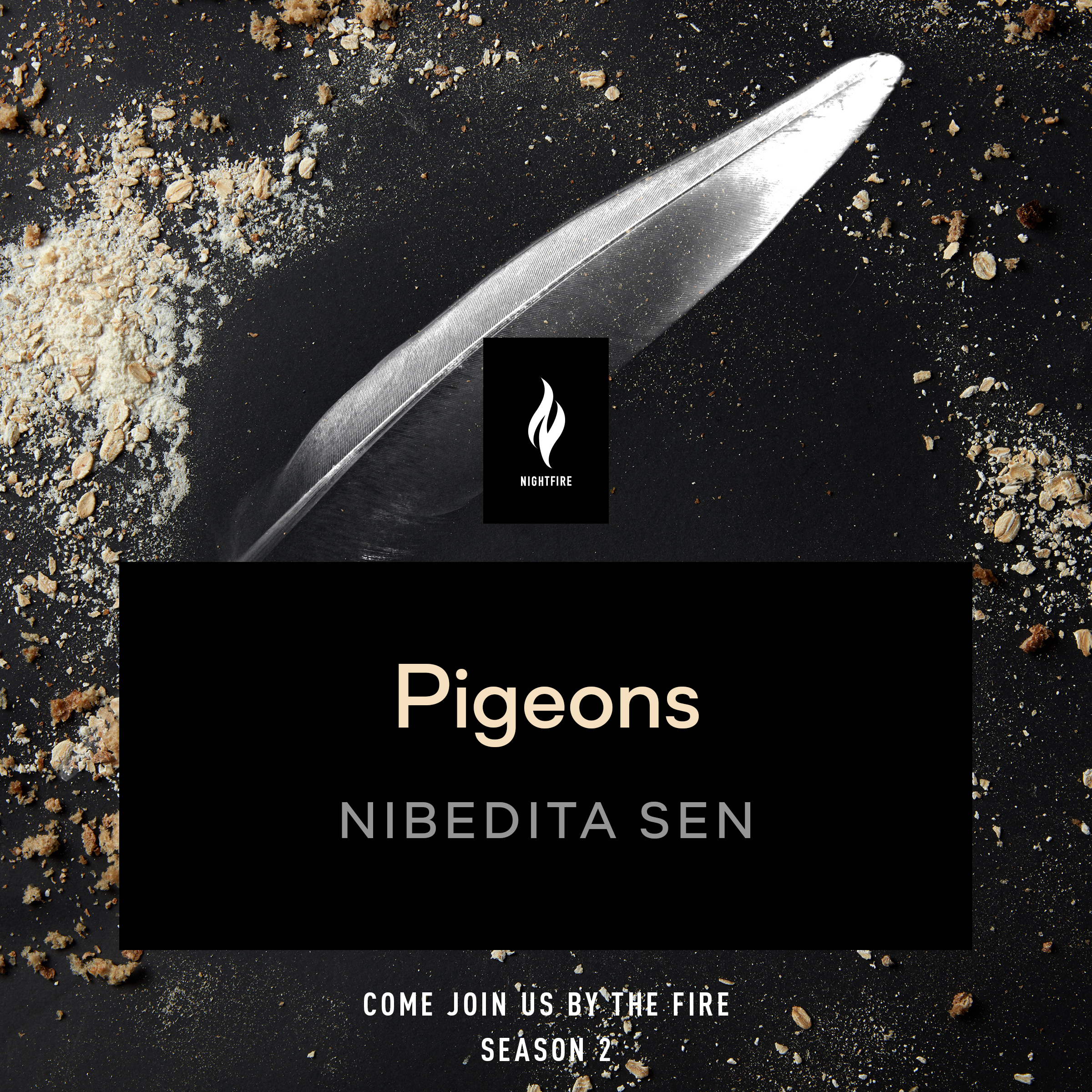 Pigeons book cover