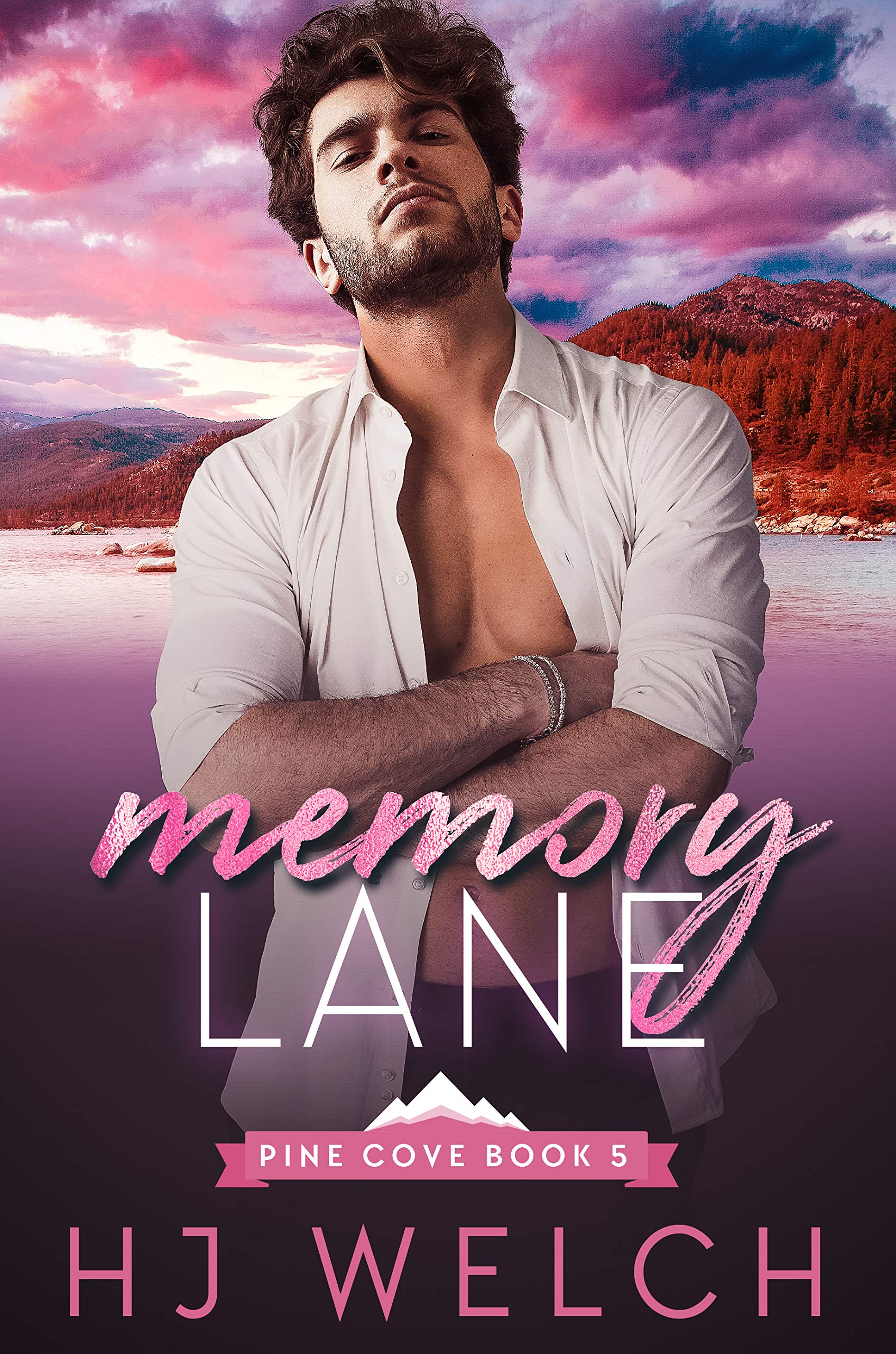 Memory Lane book cover