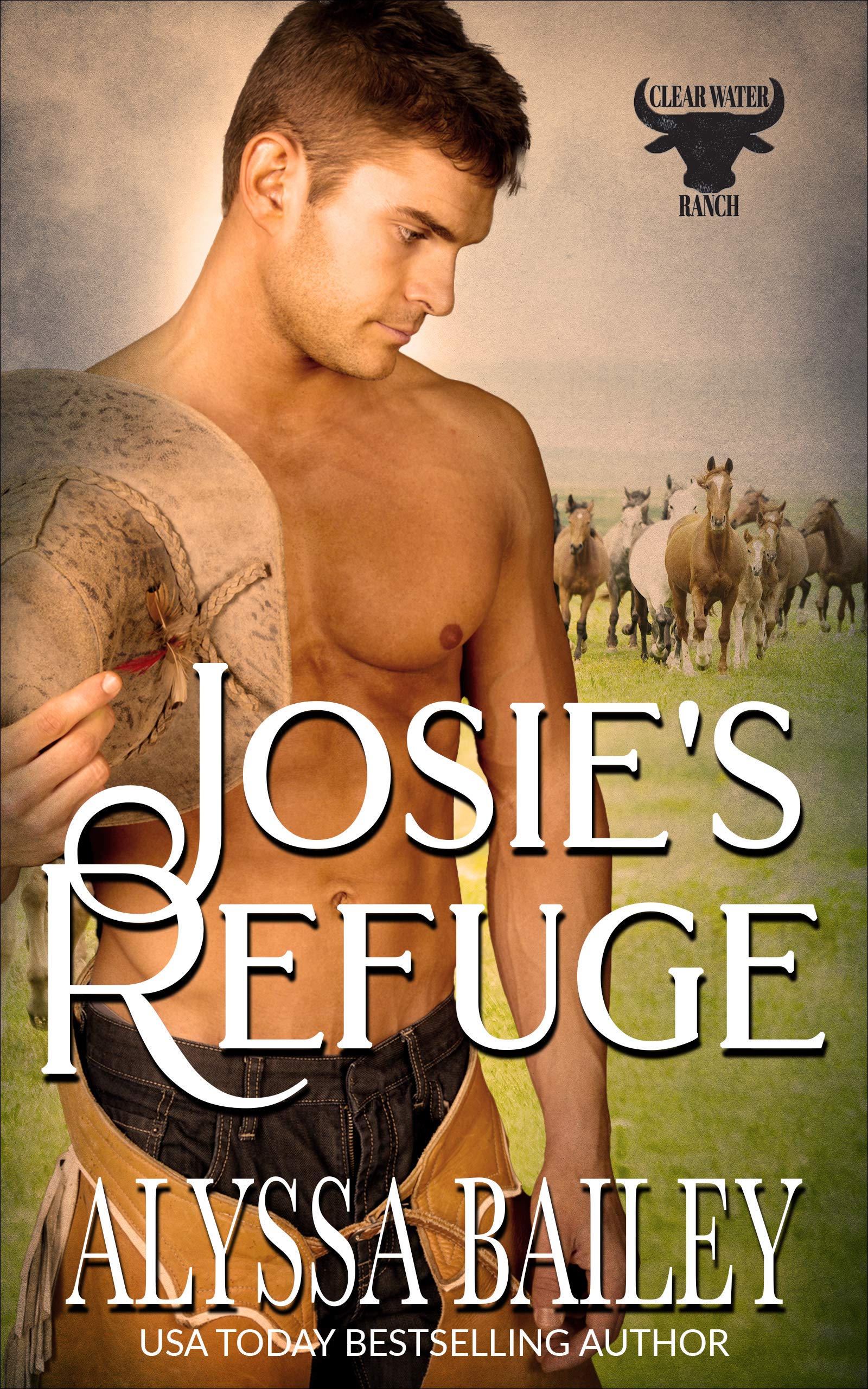 Josie's Refuge book cover