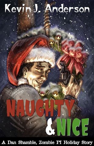 Naughty & Nice book cover