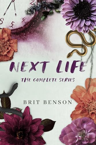 Next Life book cover