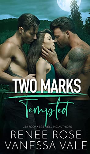Two Marks book cover 1
