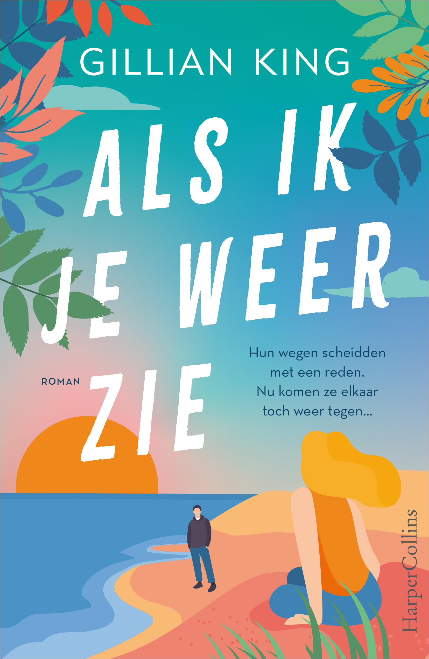 Als ik je weer zie book cover