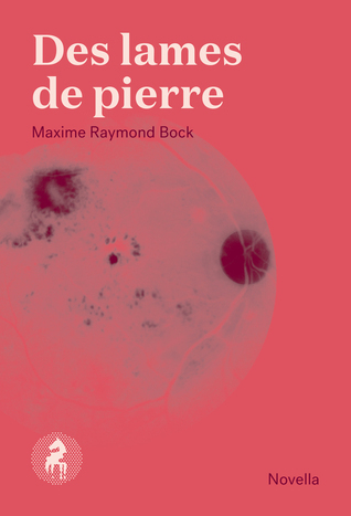 Des lames de pierre book cover