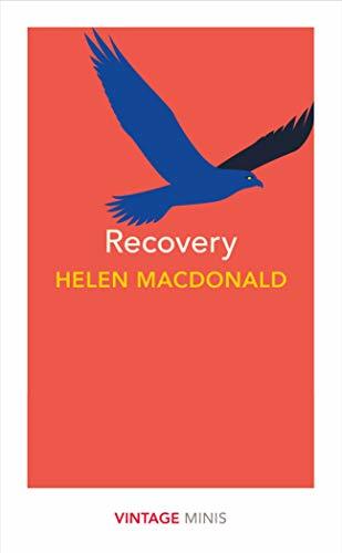 Recovery book cover