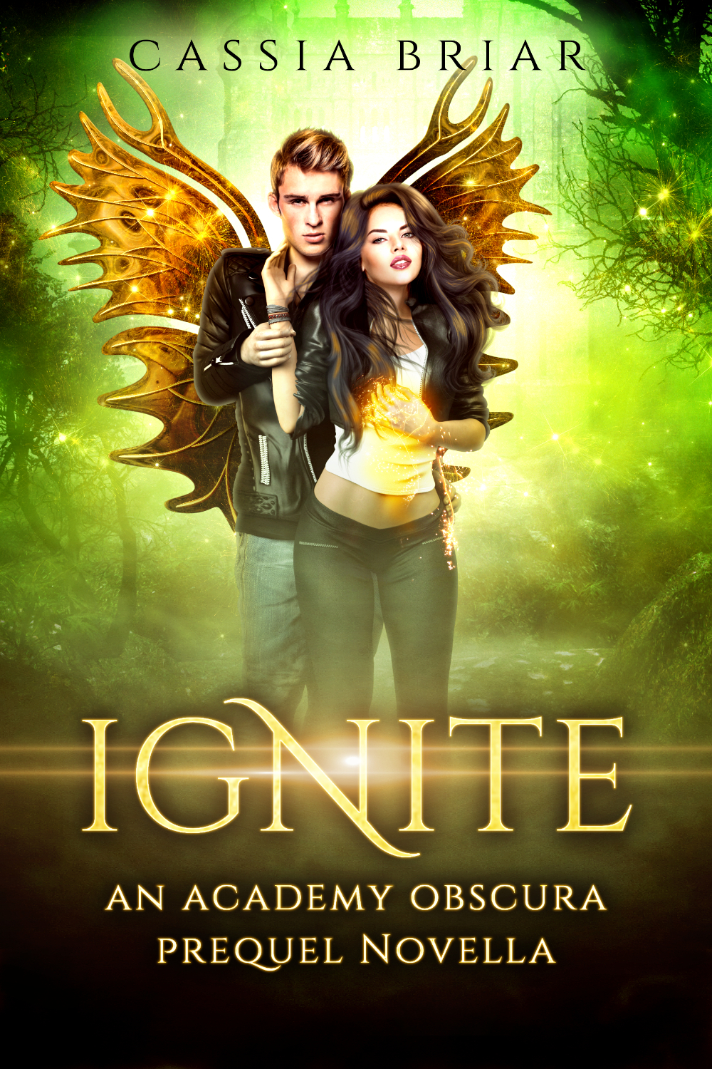 Ignite book cover
