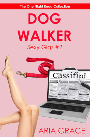 Sexy Gigs book cover 2