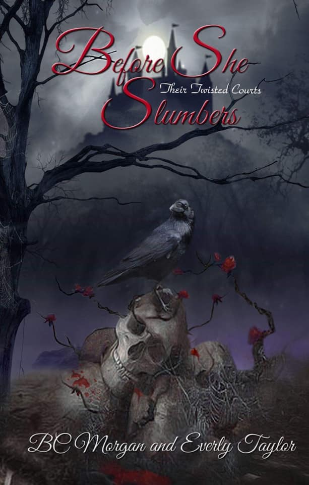 Their Twisted Courts book cover 1