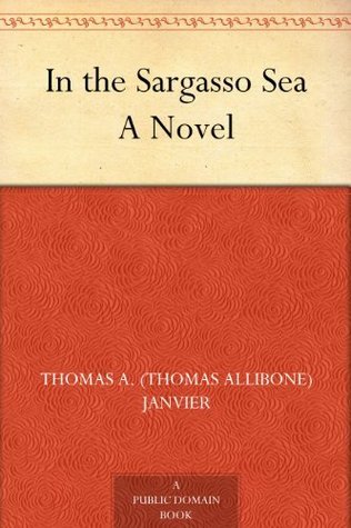 In the Sargasso Sea A Novel book cover