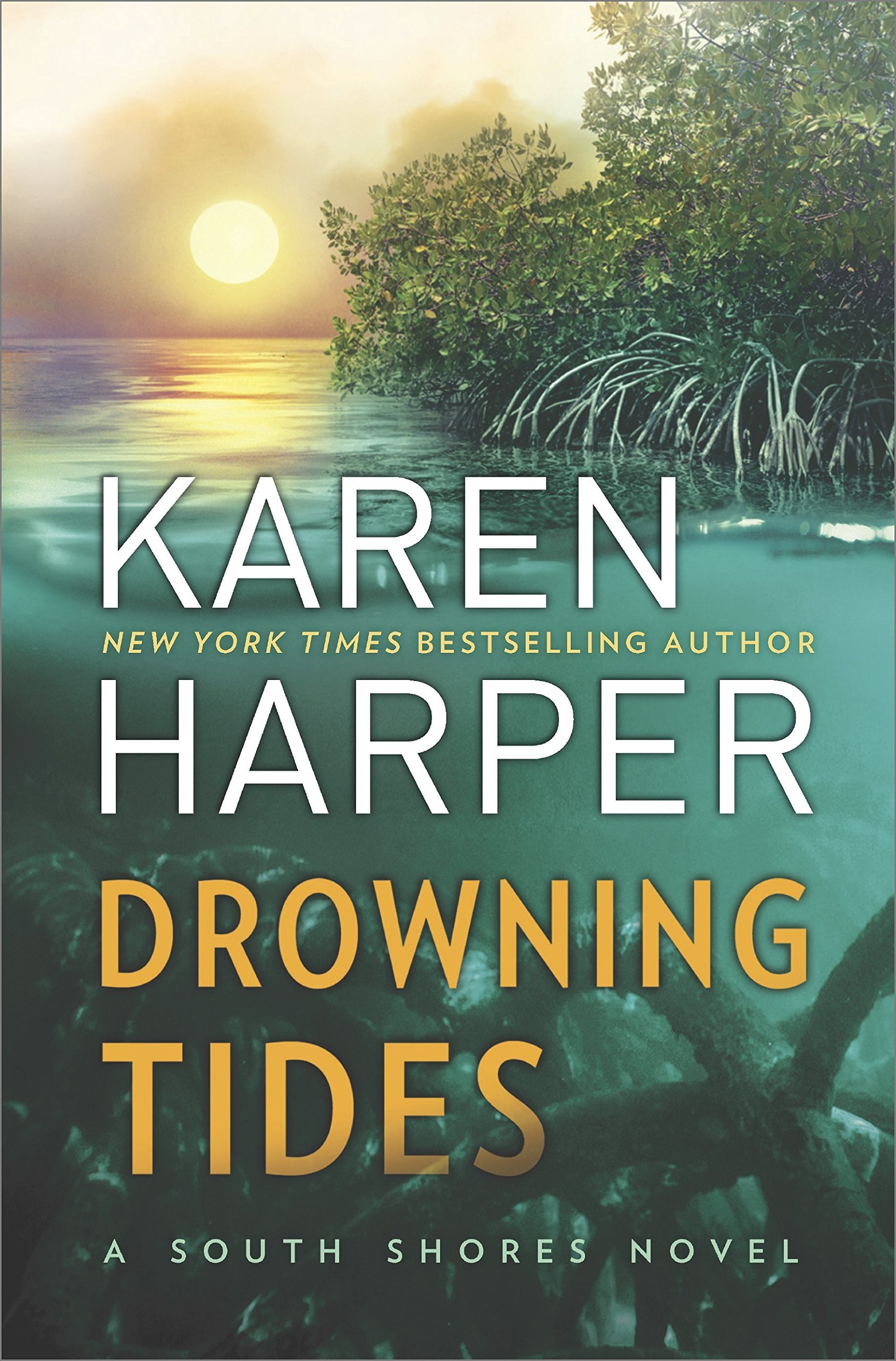 South Shores book cover 2