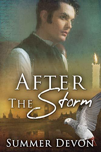 After the Storm book cover