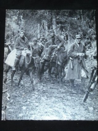 Partisans and Guerillas book cover