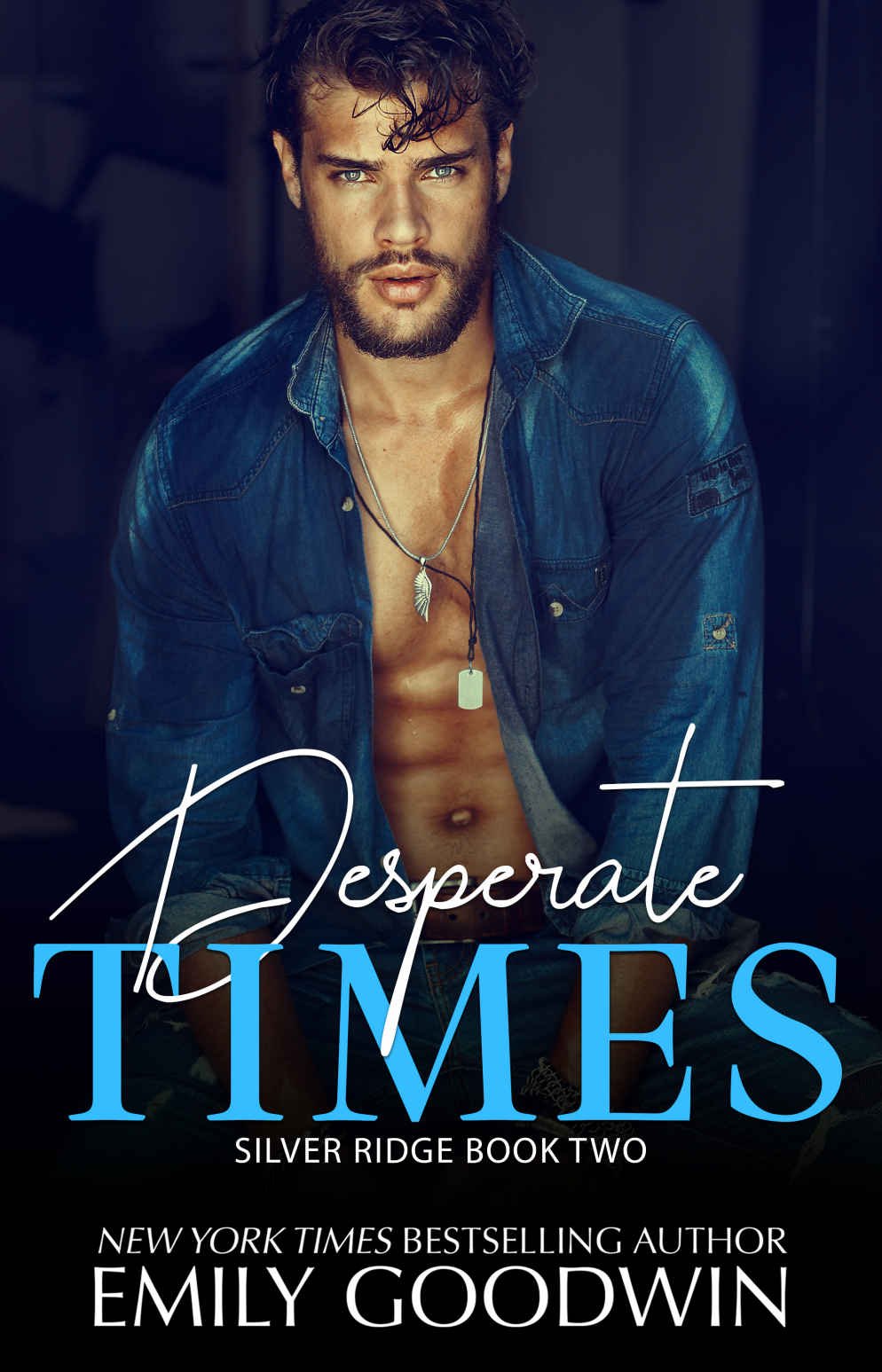 Silver Ridge book cover 2