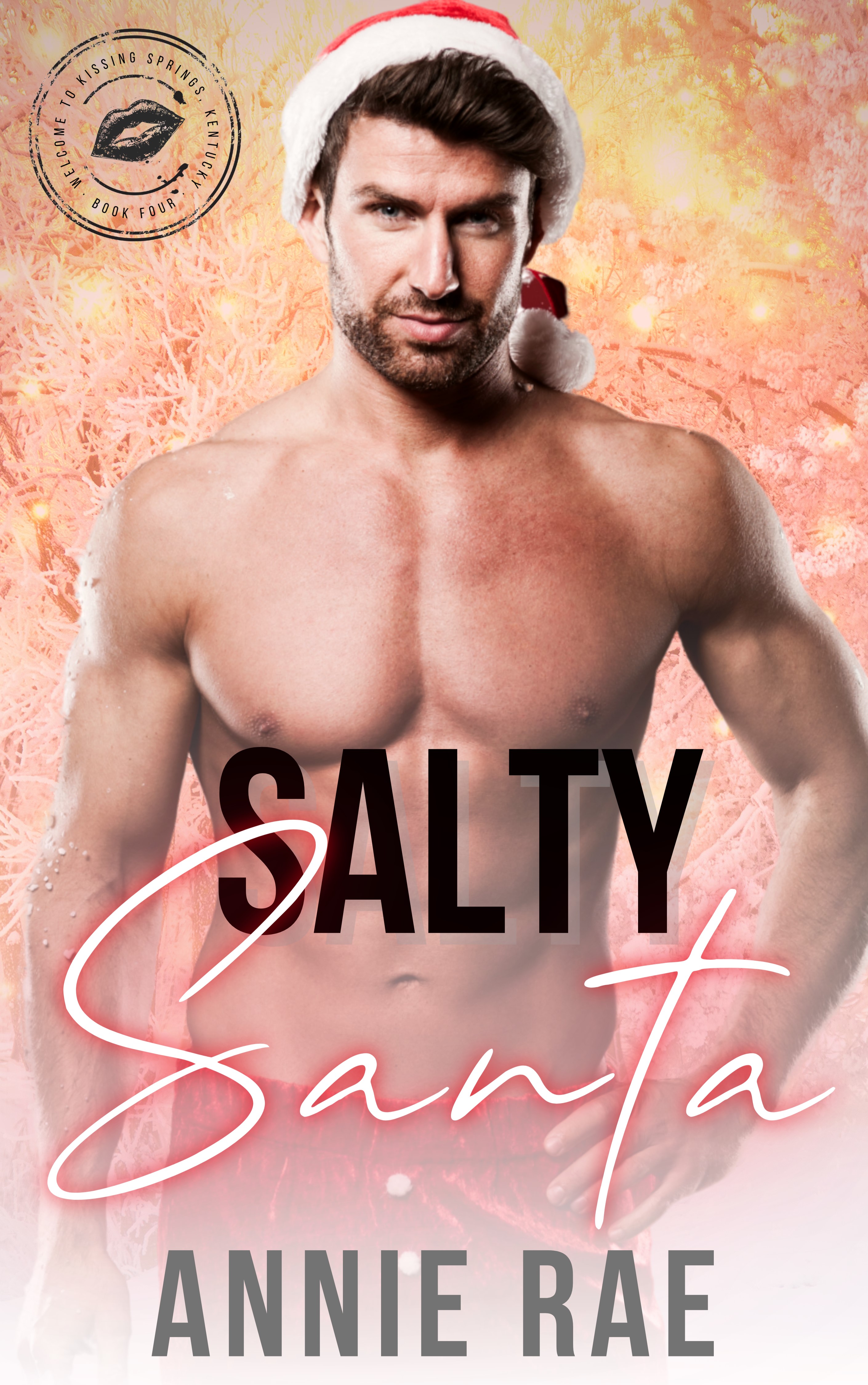 Salty Santa book cover