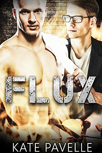 Flux book cover